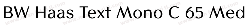 BW Haas Text Mono C 65 Medium字体转换